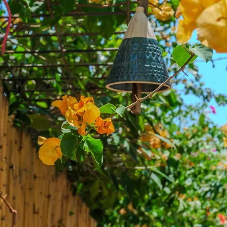 Istanblue Kalkan Kaş